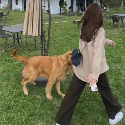 正排老公